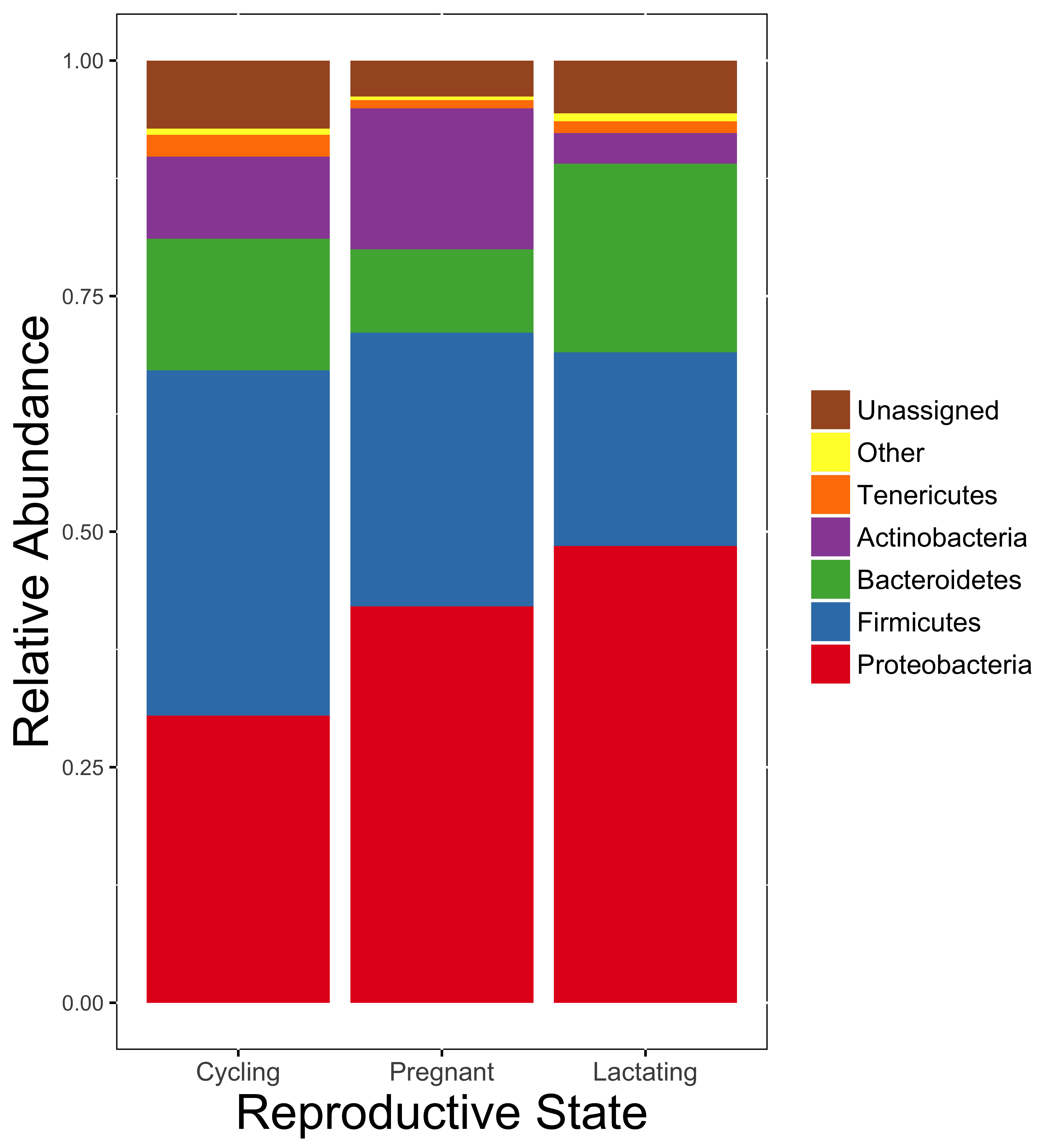 Stacked bar chart showing the differences in the relative abundance of phyla of bacteria between cycling, pregnant, and lactating females